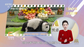 99国产福利视频在线观看